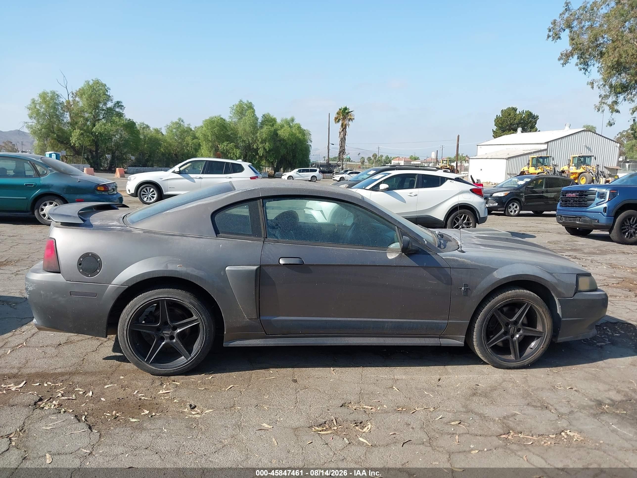 2003 Ford Mustang Mach 1 Gray vin: 1FAFP42R53F417582