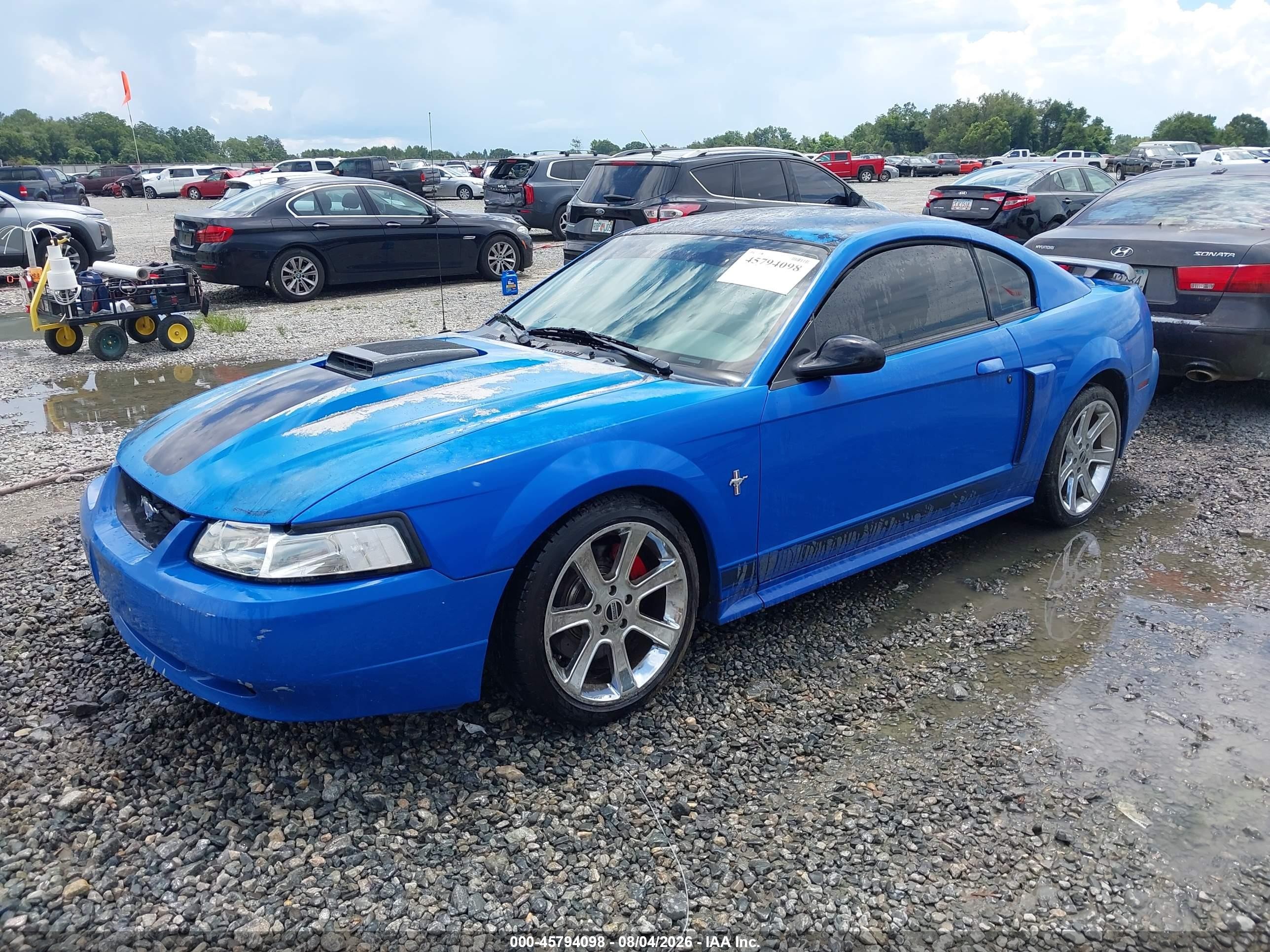 2003 Ford Mustang Mach 1 Синий vin: 1FAFP42R63F429899
