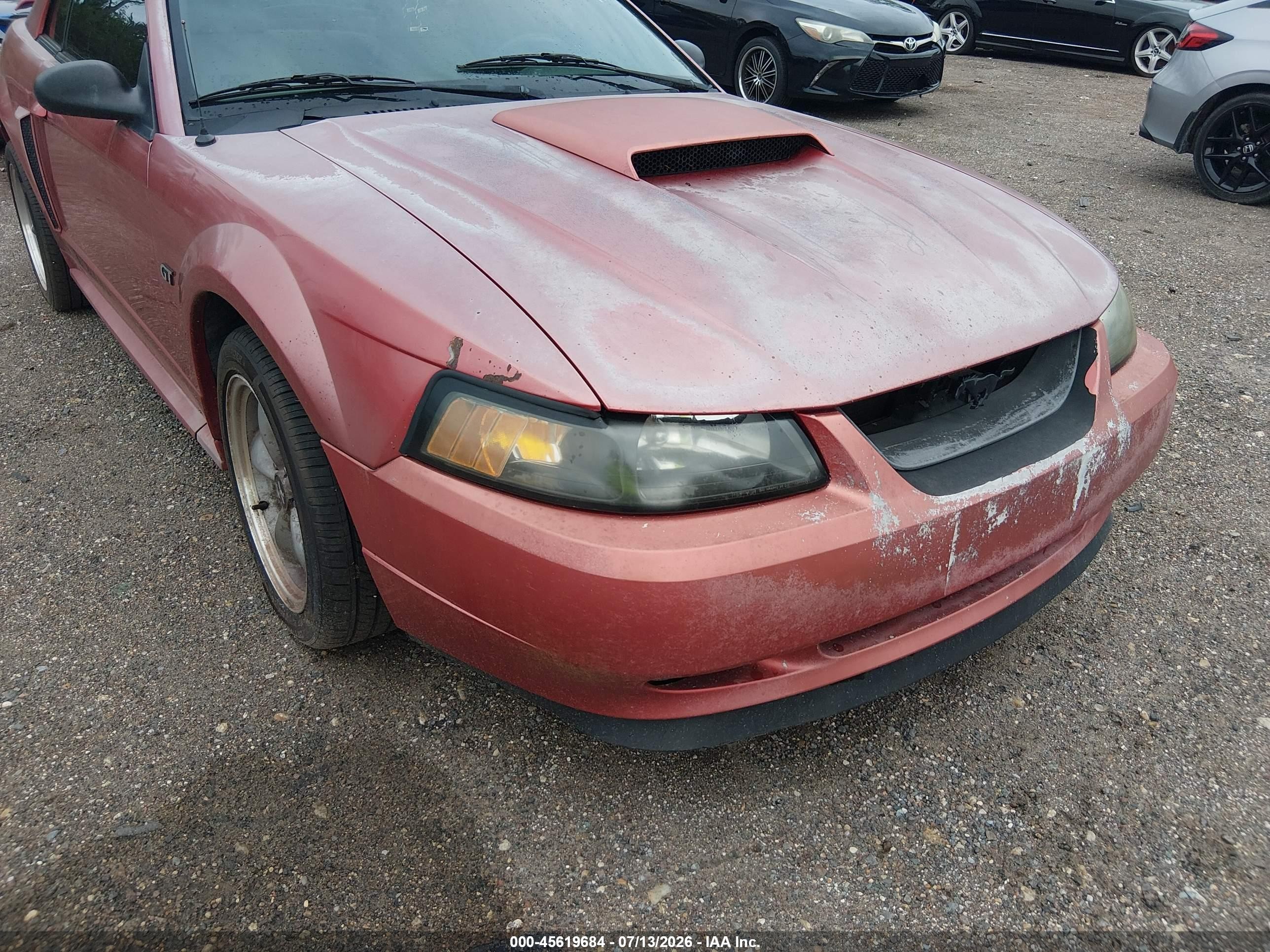 2002 Ford Mustang Gt Deluxe/gt Premium Красный vin: 1FAFP42X02F103416