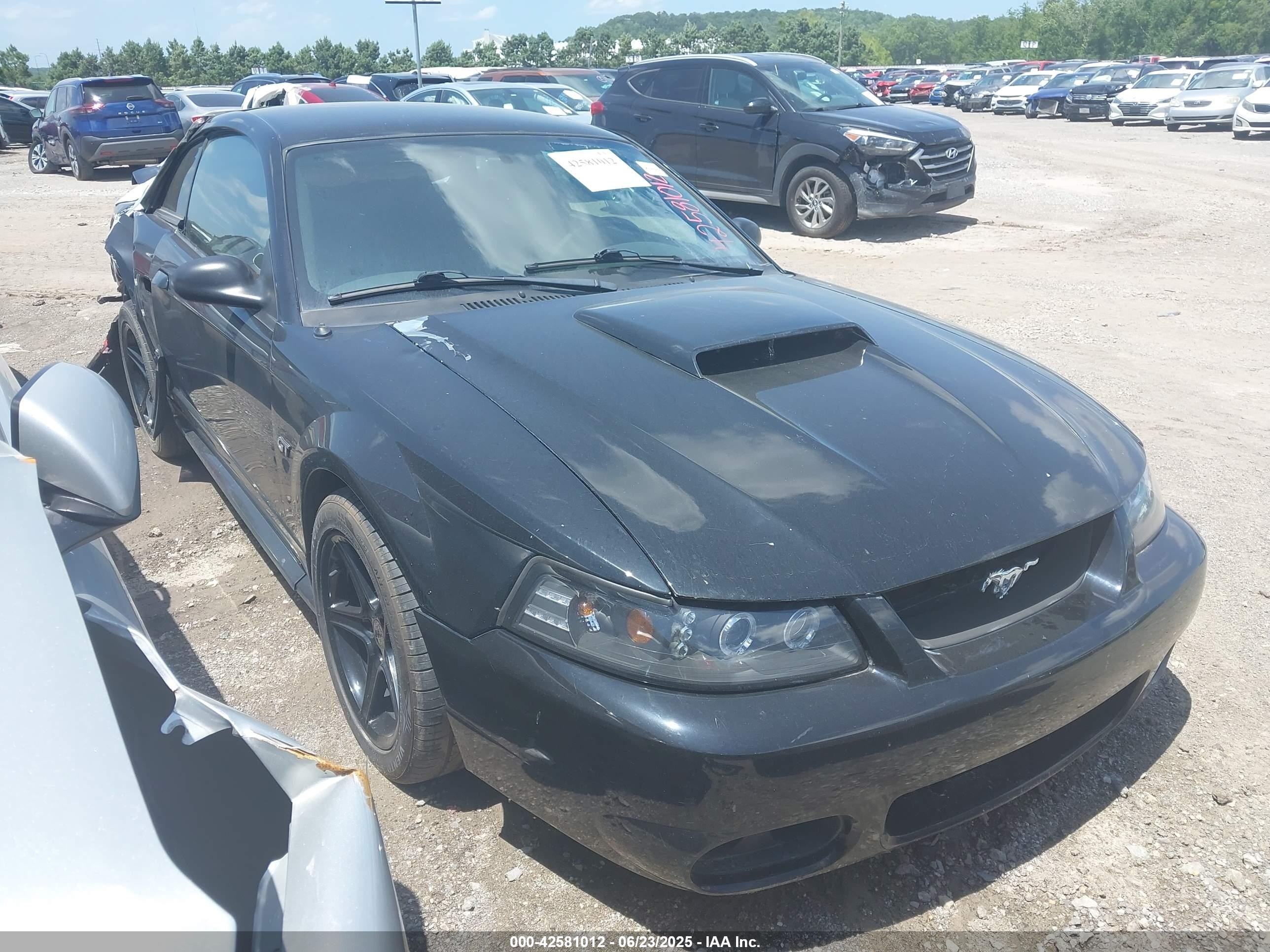2003 Ford Mustang Gt Black vin: 1FAFP42X03F406021