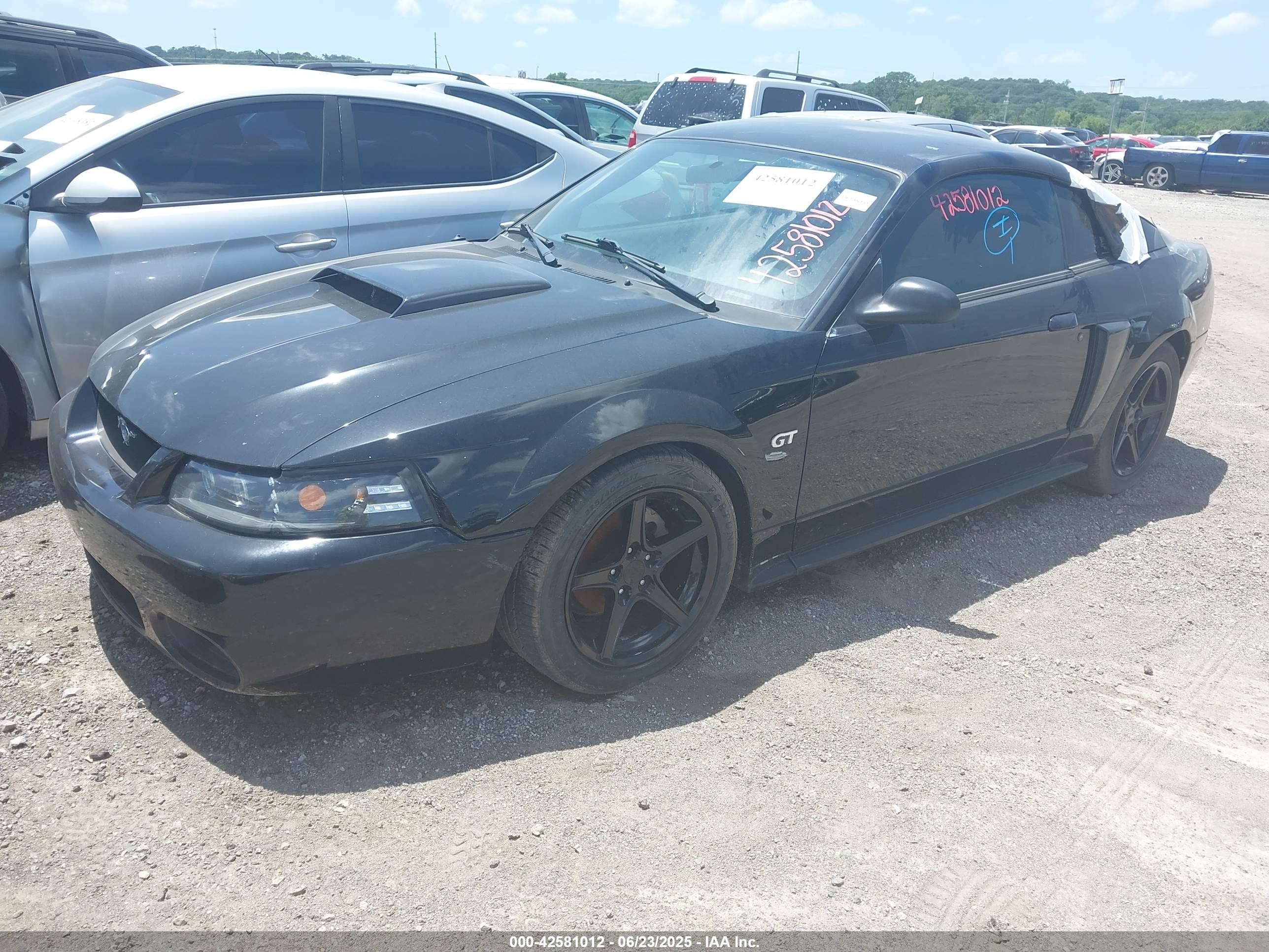 2003 Ford Mustang Gt Black vin: 1FAFP42X03F406021