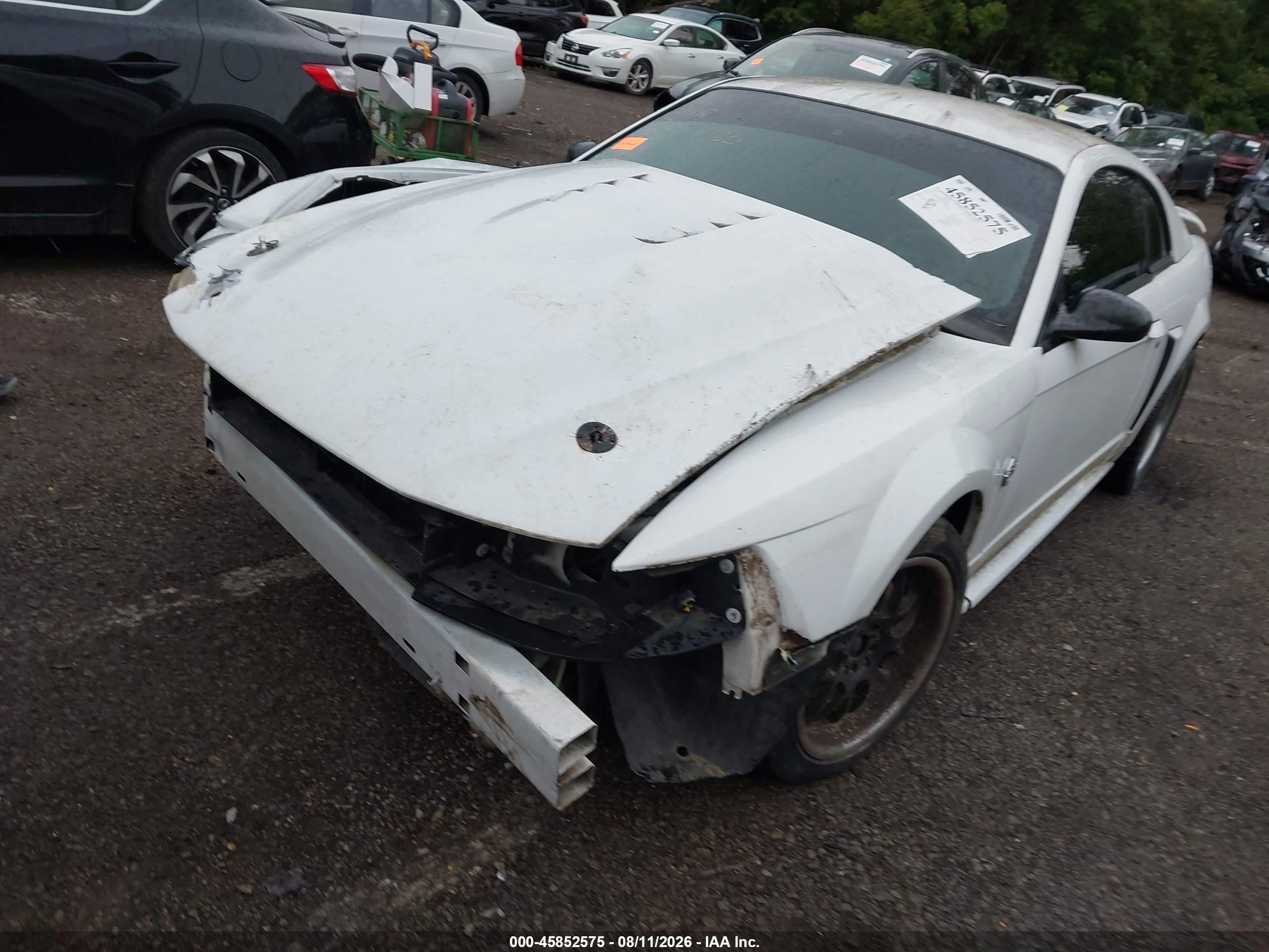 2004 Ford Mustang Gt White vin: 1FAFP42X04F224806