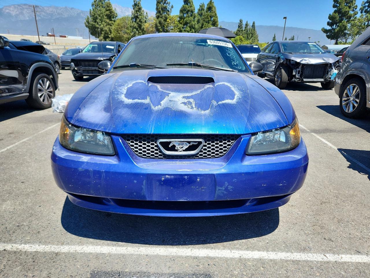 2003 Ford Mustang Gt Blue vin: 1FAFP42X23F354536
