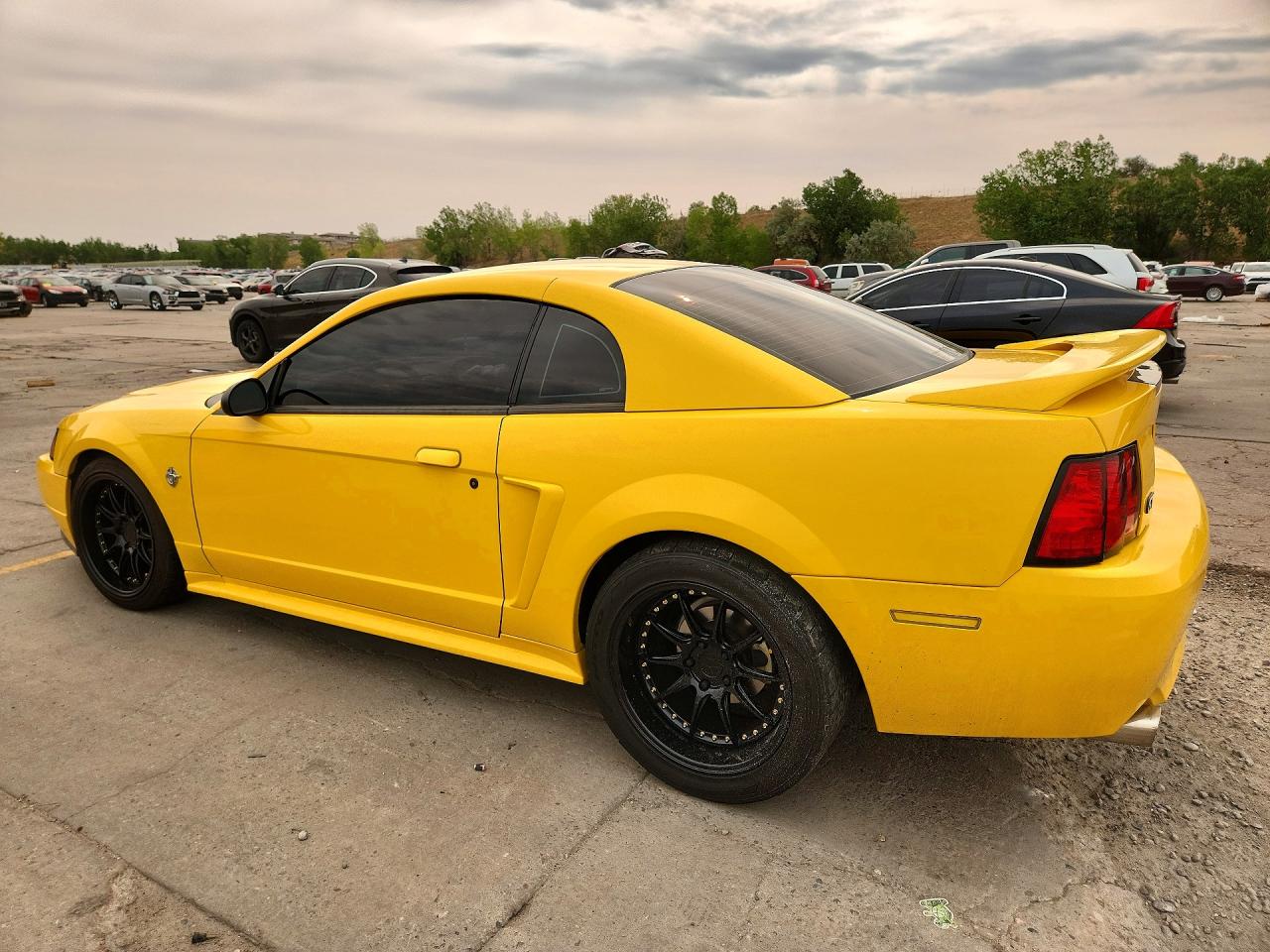 1999 Ford Mustang Gt Yellow vin: 1FAFP42X2XF136019