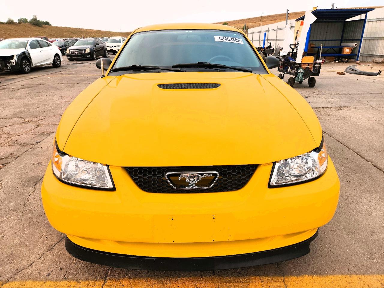 1999 Ford Mustang Gt Yellow vin: 1FAFP42X2XF136019
