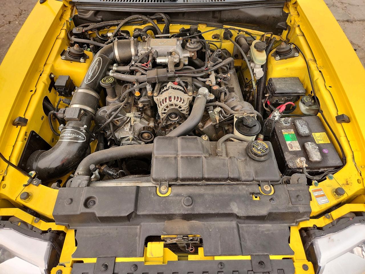 1999 Ford Mustang Gt Yellow vin: 1FAFP42X2XF136019