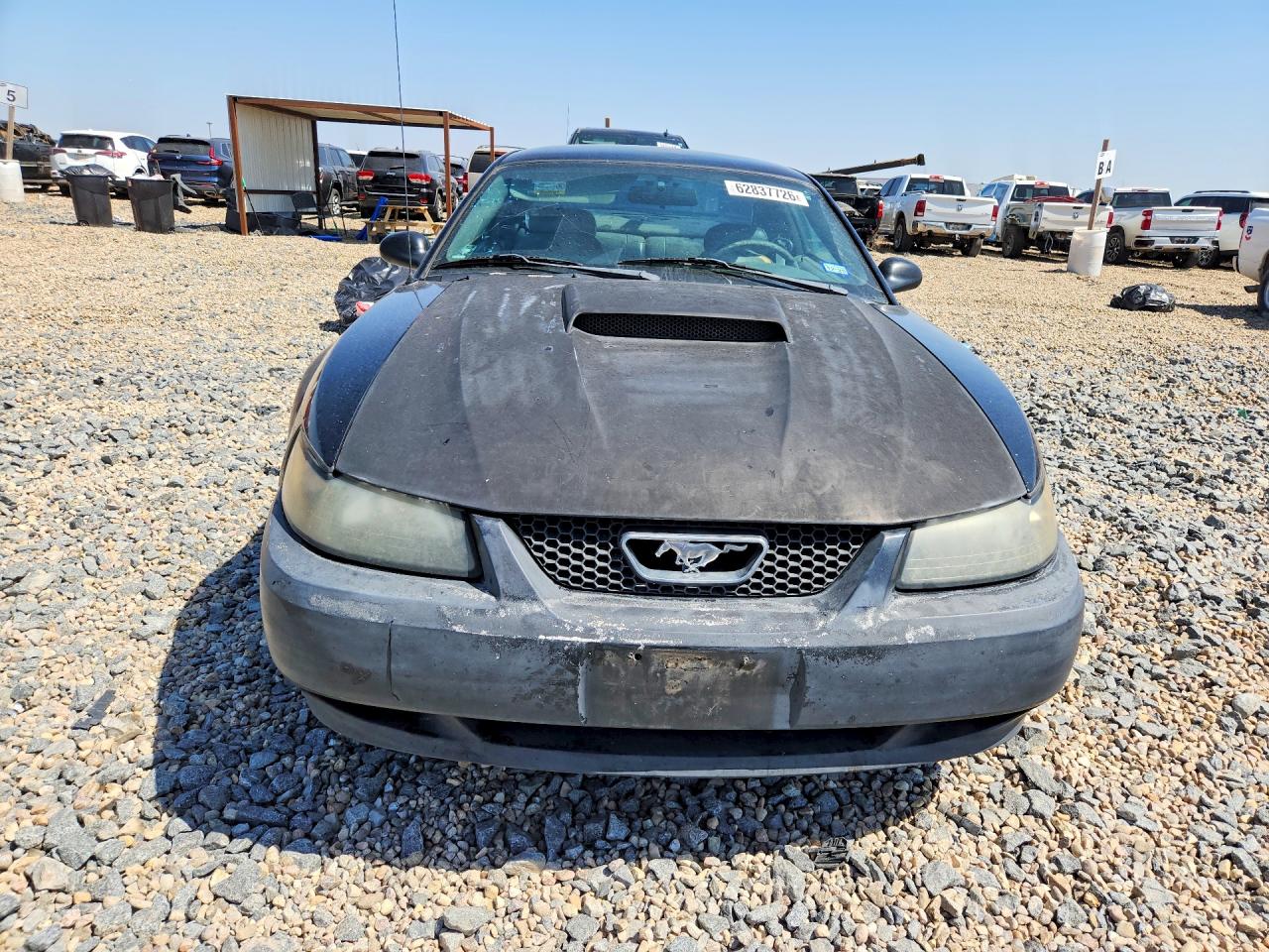 2003 Ford Mustang Gt Черный vin: 1FAFP42X33F377503