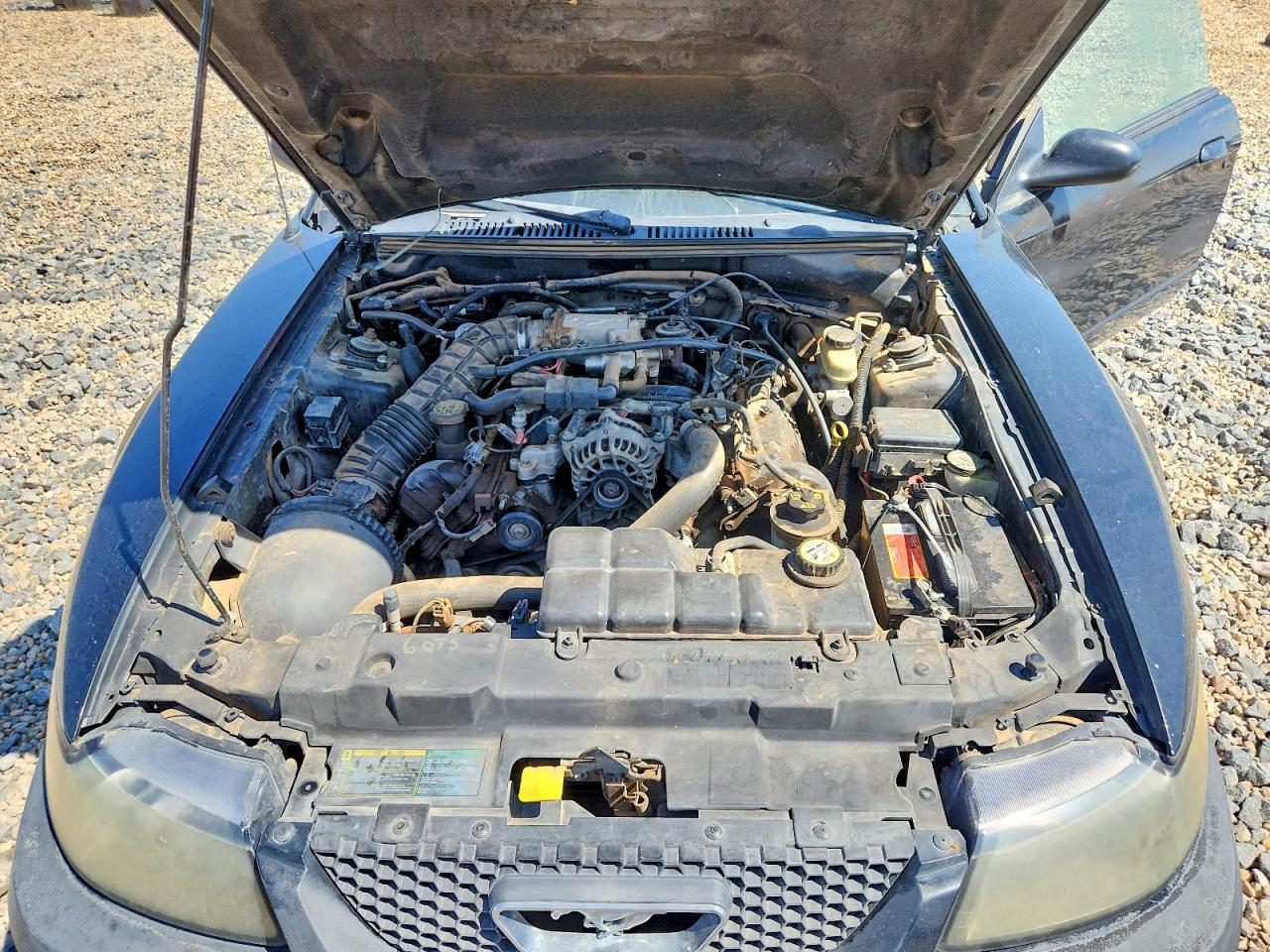 2003 Ford Mustang Gt Черный vin: 1FAFP42X33F377503