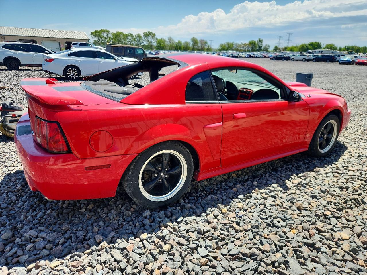 2003 Ford Mustang Gt Red vin: 1FAFP42X33F432046