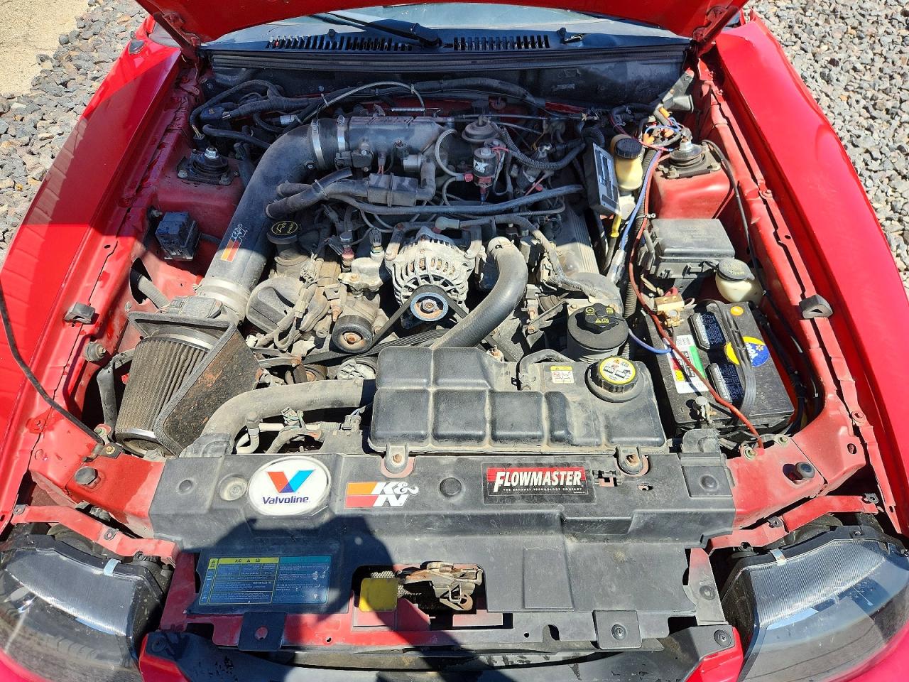 2003 Ford Mustang Gt Red vin: 1FAFP42X33F432046