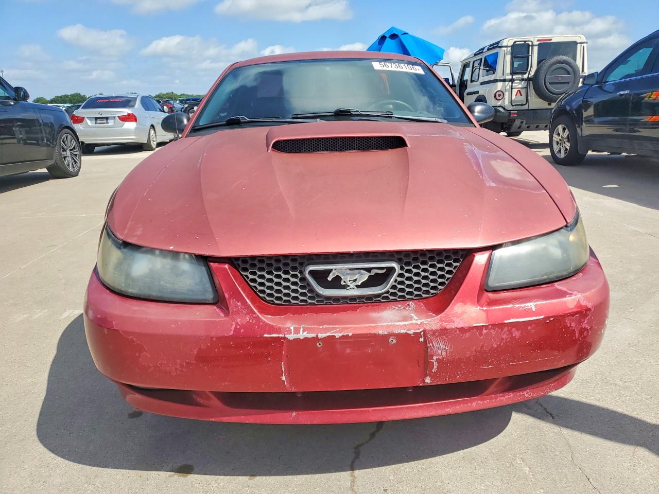 2003 Ford Mustang Gt Red vin: 1FAFP42X43F409777