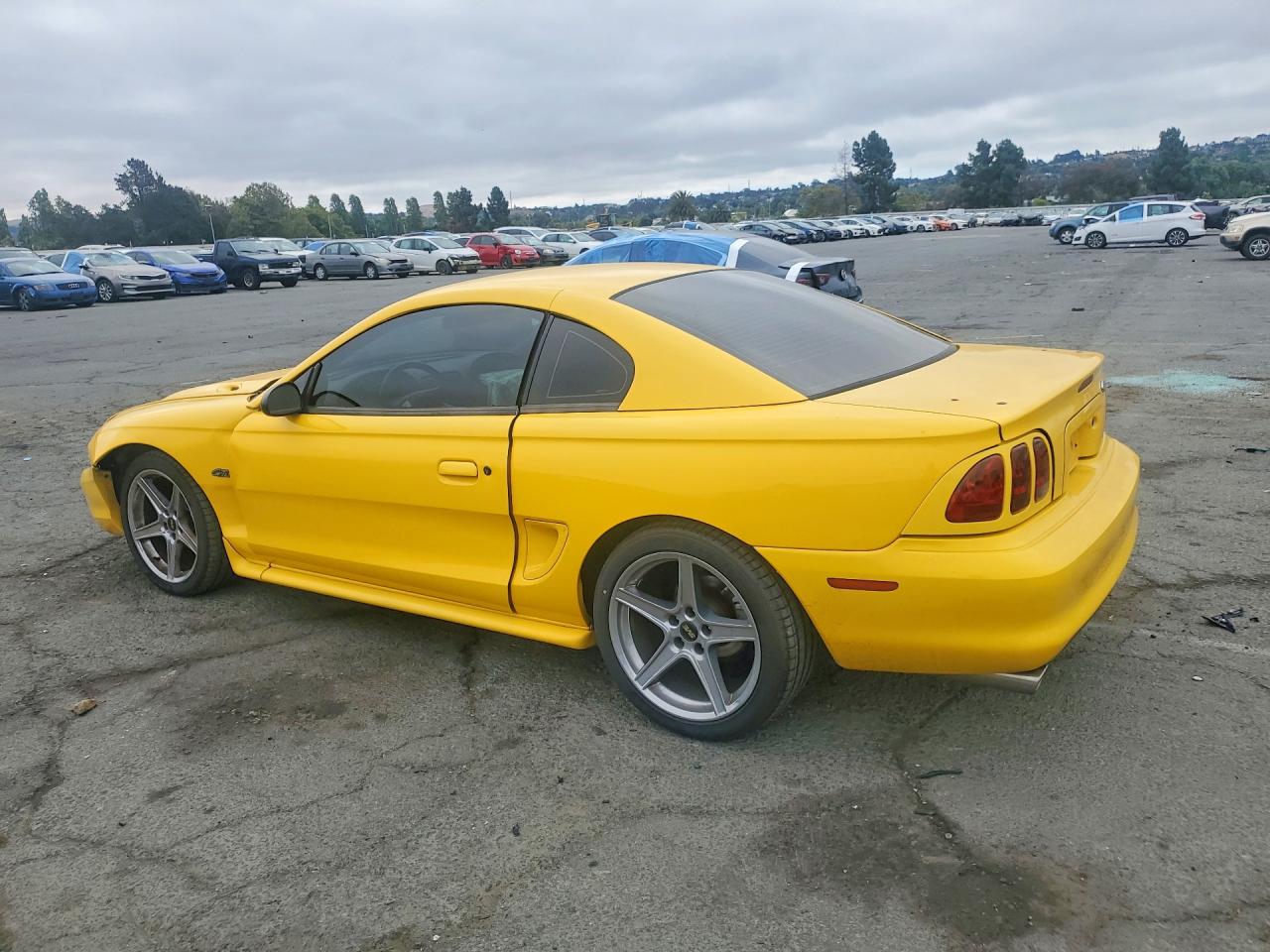 1998 Ford Mustang Gt Yellow vin: 1FAFP42X4WF201029