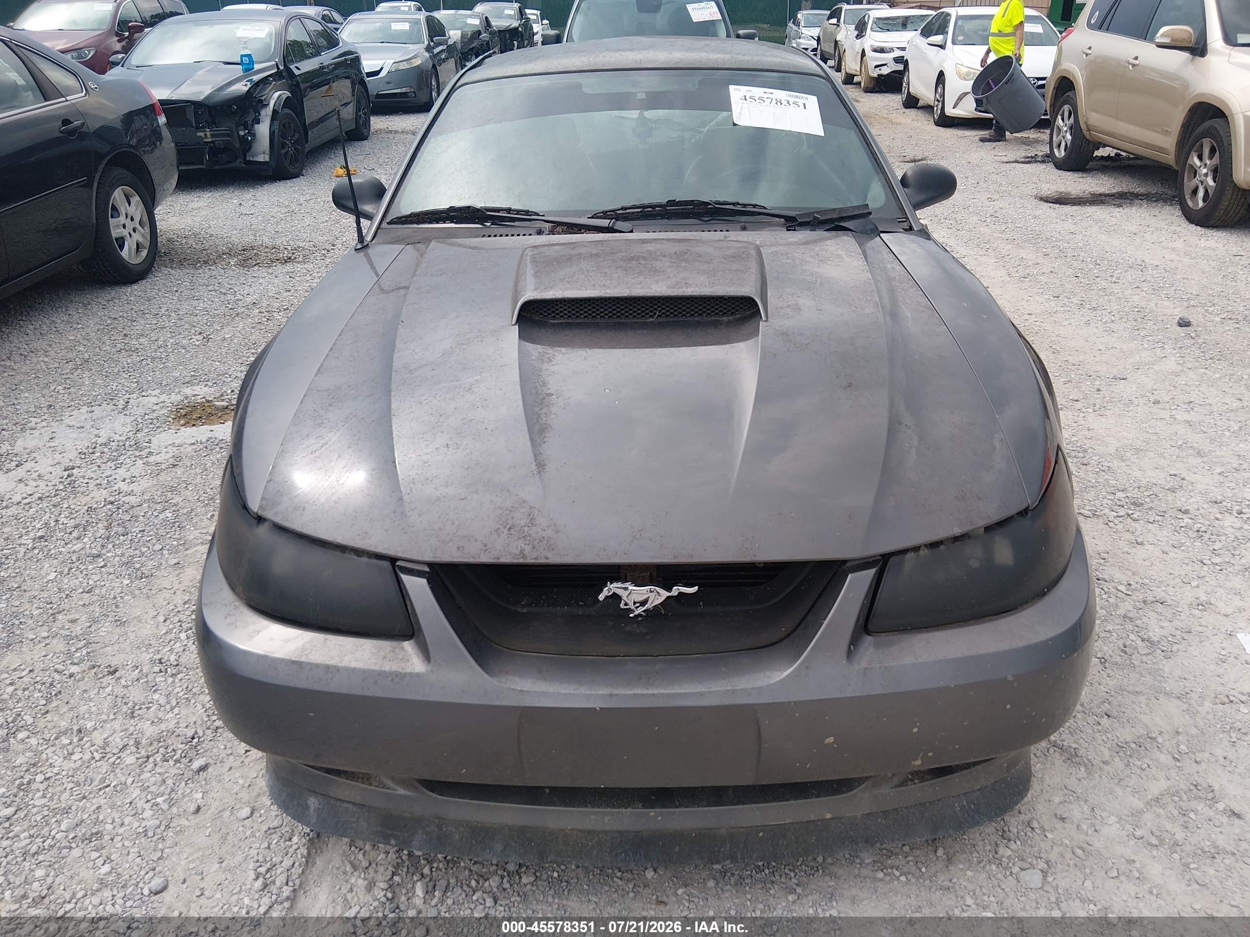 2003 Ford Mustang Gt Gray vin: 1FAFP42X53F341585