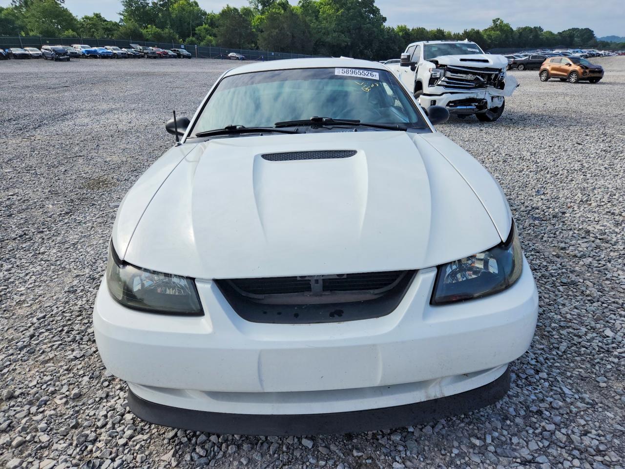 2000 Ford Mustang Gt White vin: 1FAFP42X5YF240232
