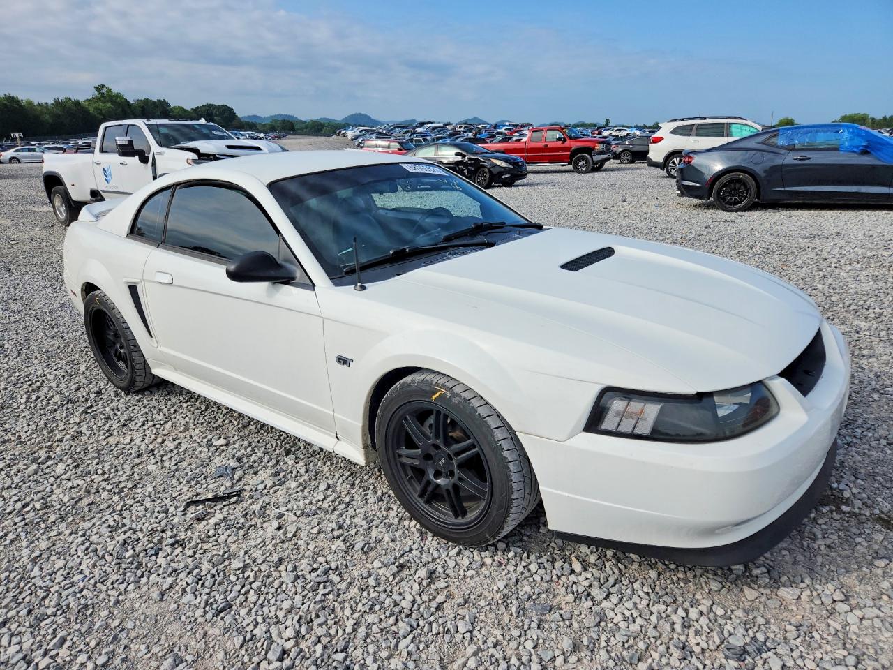 2000 Ford Mustang Gt White vin: 1FAFP42X5YF240232