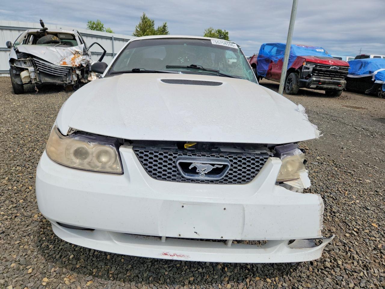 2000 Ford Mustang Gt White vin: 1FAFP42X5YF278978