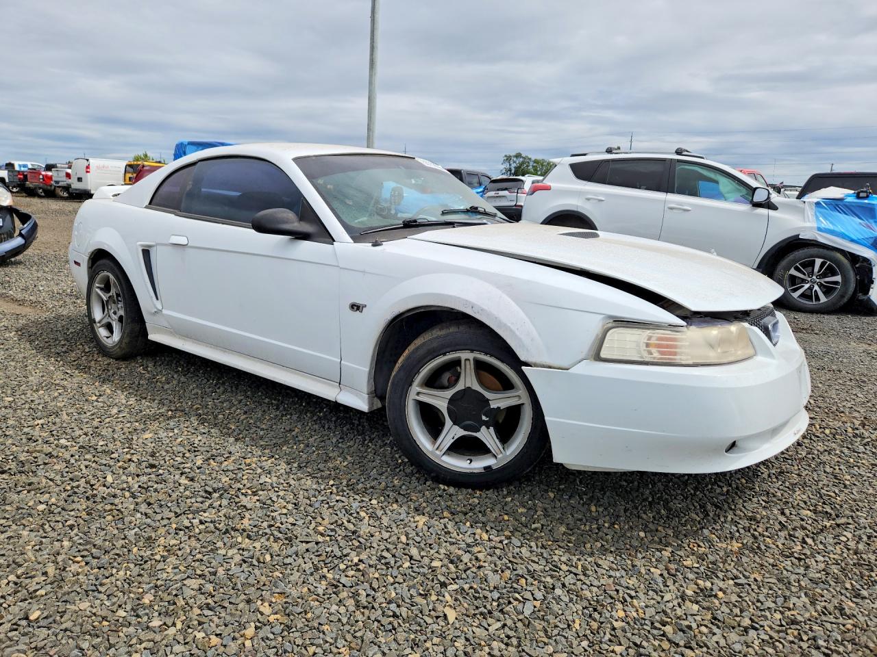 2000 Ford Mustang Gt White vin: 1FAFP42X5YF278978