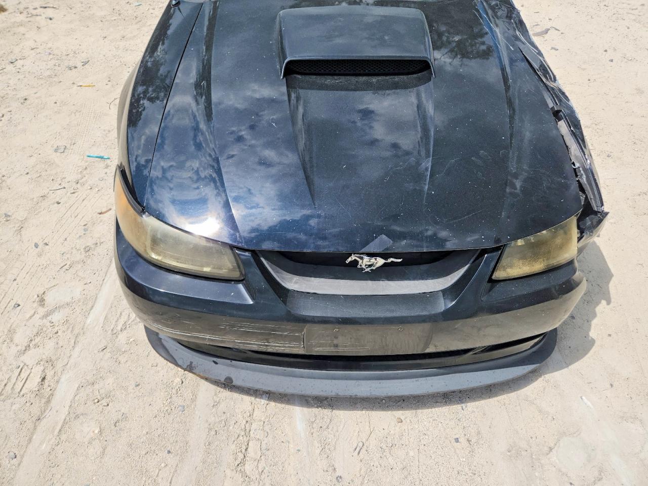 2003 Ford Mustang Gt Черный vin: 1FAFP42X63F330790