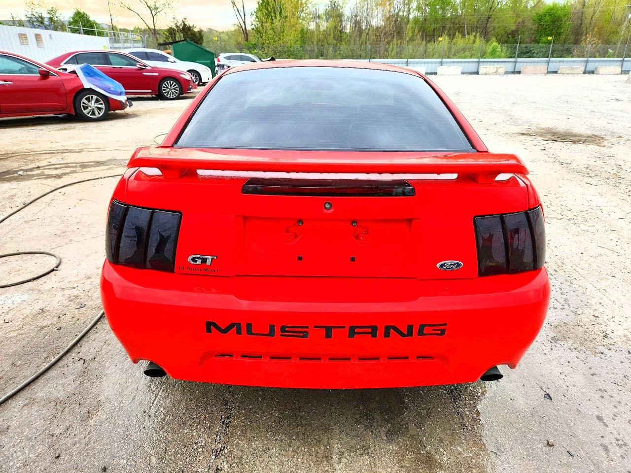 2001 Ford Mustang Gt Red vin: 1FAFP42X71F257586