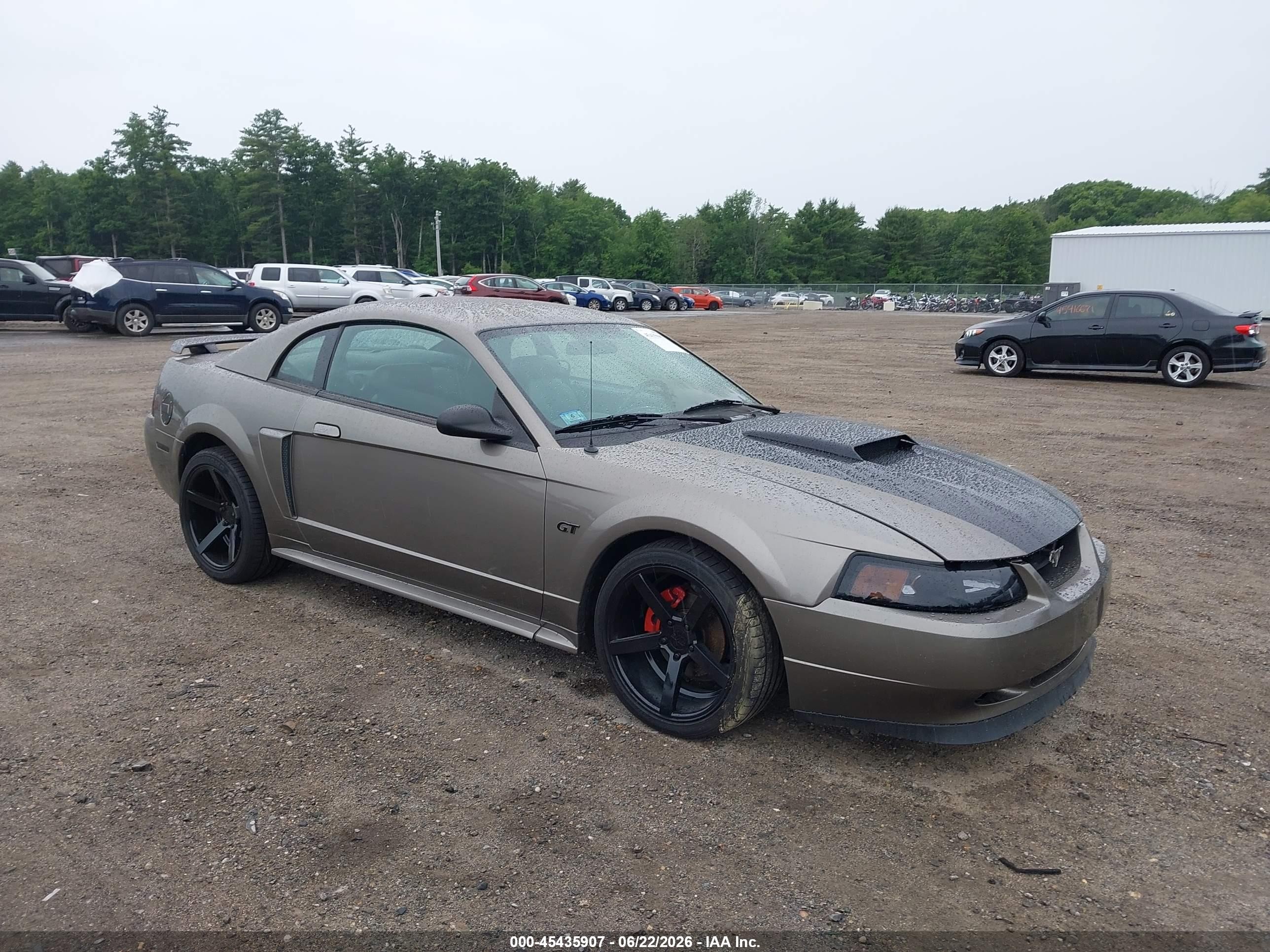 2002 Ford Mustang Gt Deluxe/gt Premium Gold vin: 1FAFP42X72F181272
