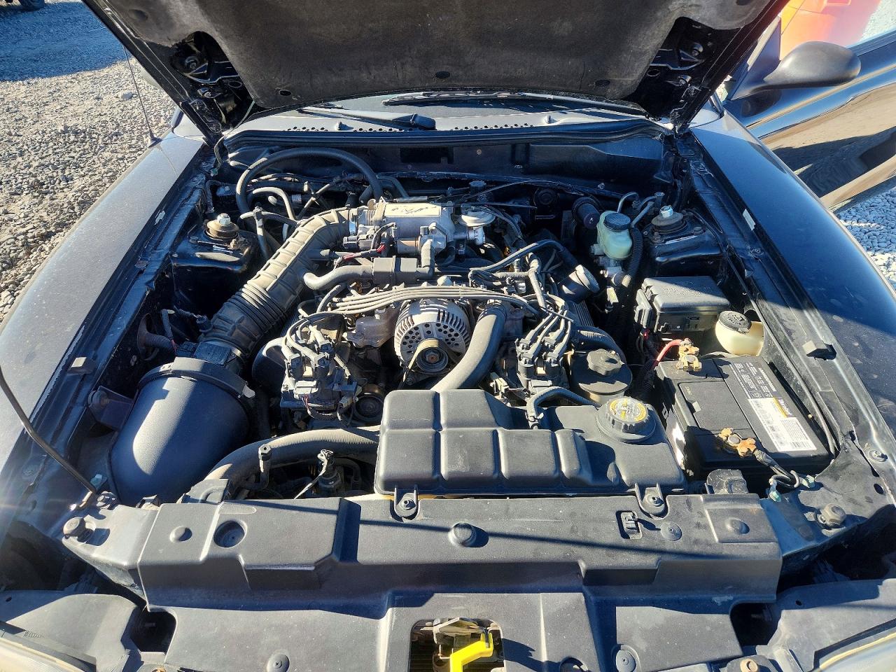 1998 Ford Mustang Gt Black vin: 1FAFP42X7WF195663