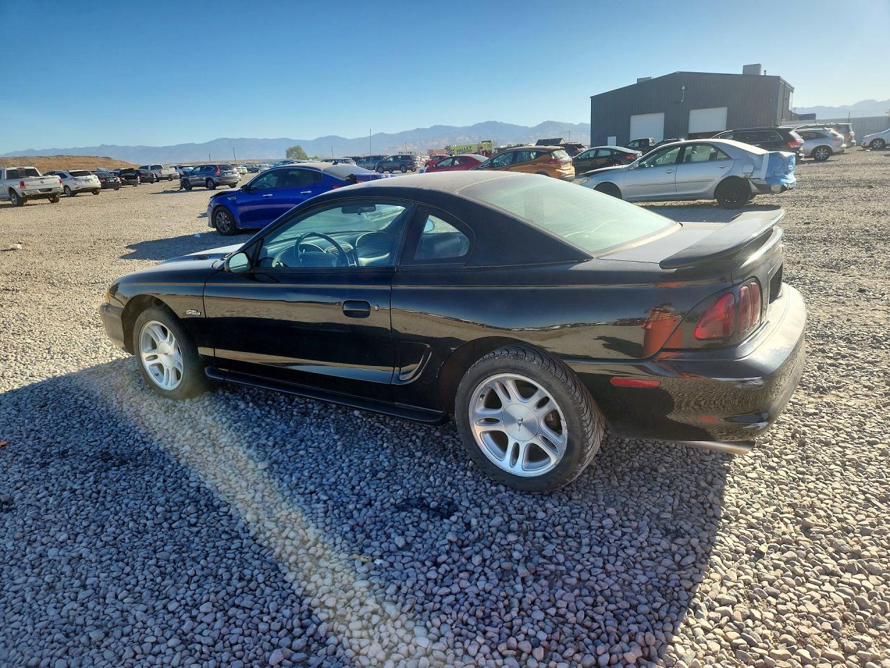 1998 Ford Mustang Gt Black vin: 1FAFP42X7WF195663