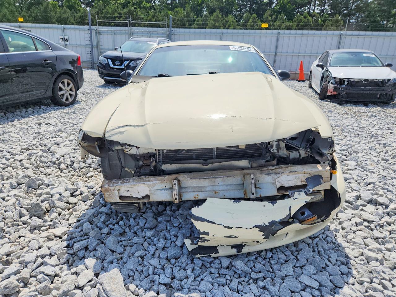 1998 Ford Mustang Gt Cream vin: 1FAFP42X7WF235434