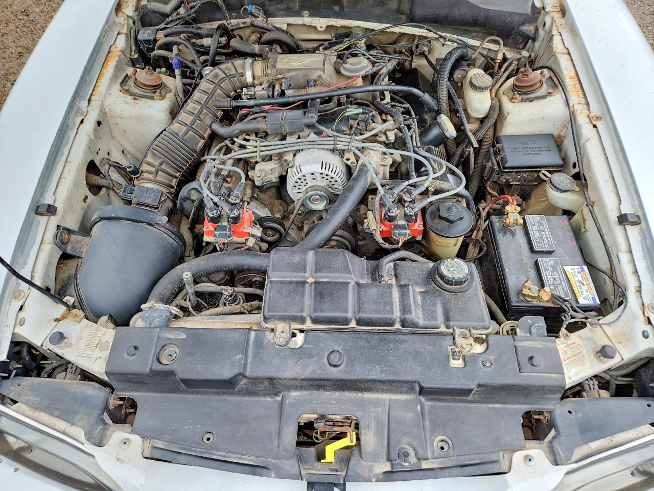 1998 Ford Mustang Gt Белый vin: 1FAFP42X8WF193050