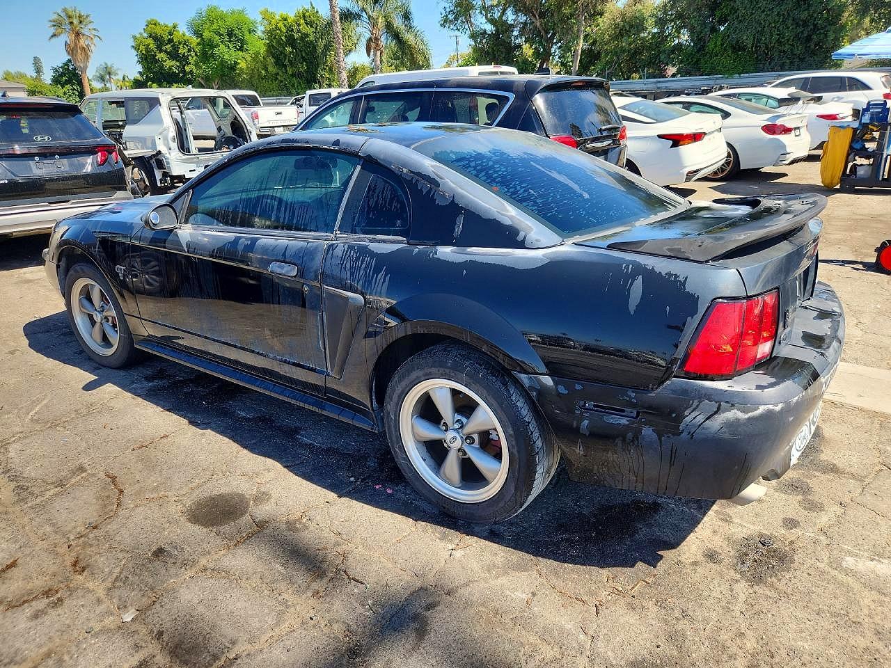 2000 Ford Mustang Gt Black vin: 1FAFP42X8YF193780