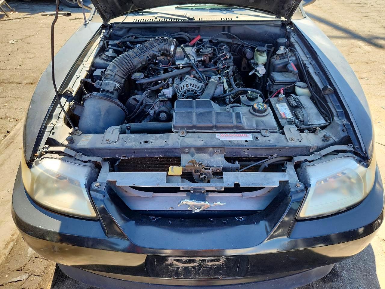 2000 Ford Mustang Gt Black vin: 1FAFP42X8YF193780