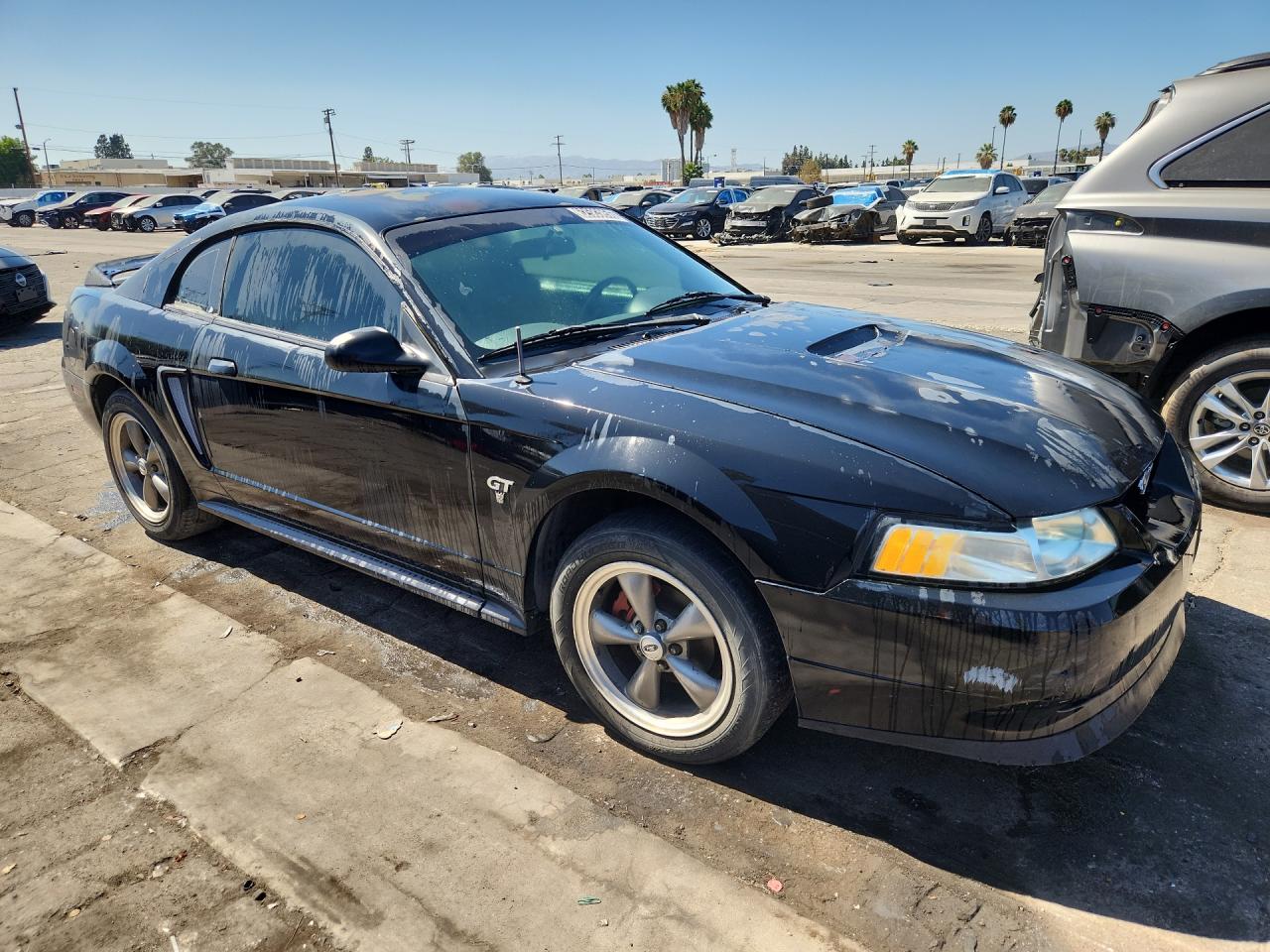 2000 Ford Mustang Gt Black vin: 1FAFP42X8YF193780 Damage: Right Front Door, Oxidized, > 12 Inches