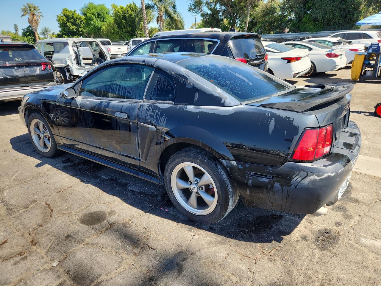 2000 Ford Mustang Gt Black vin: 1FAFP42X8YF193780 Damage: Left Qtr Panel, Oxidized, > 12 Inches