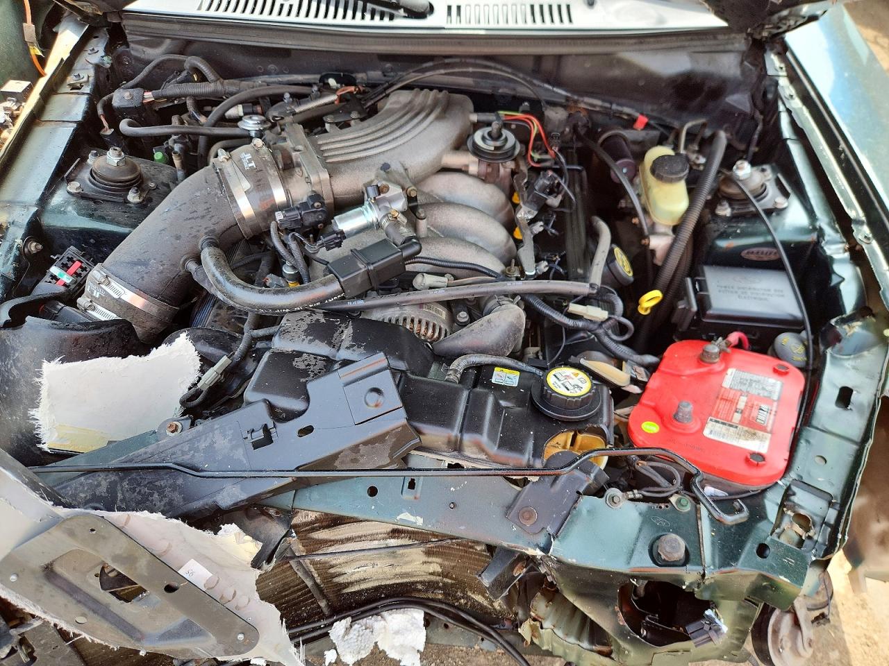 2001 Ford Mustang Gt Зеленый vin: 1FAFP42X91F258304