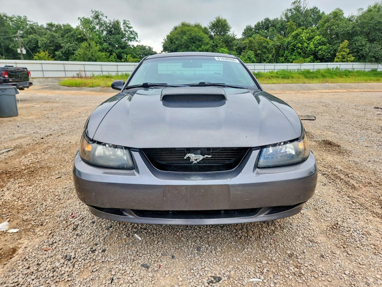 2003 Ford Mustang Gt Gray vin: 1FAFP42X93F310162
