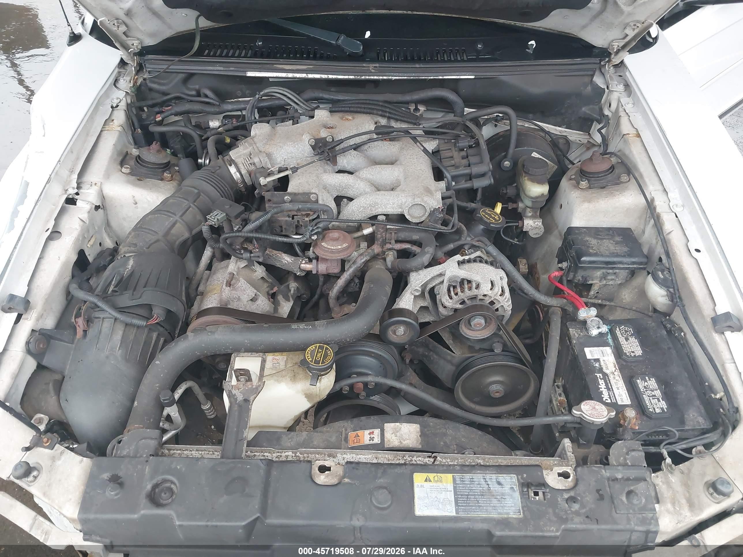 2002 Ford Mustang Deluxe/premium White vin: 1FAFP44412F201440