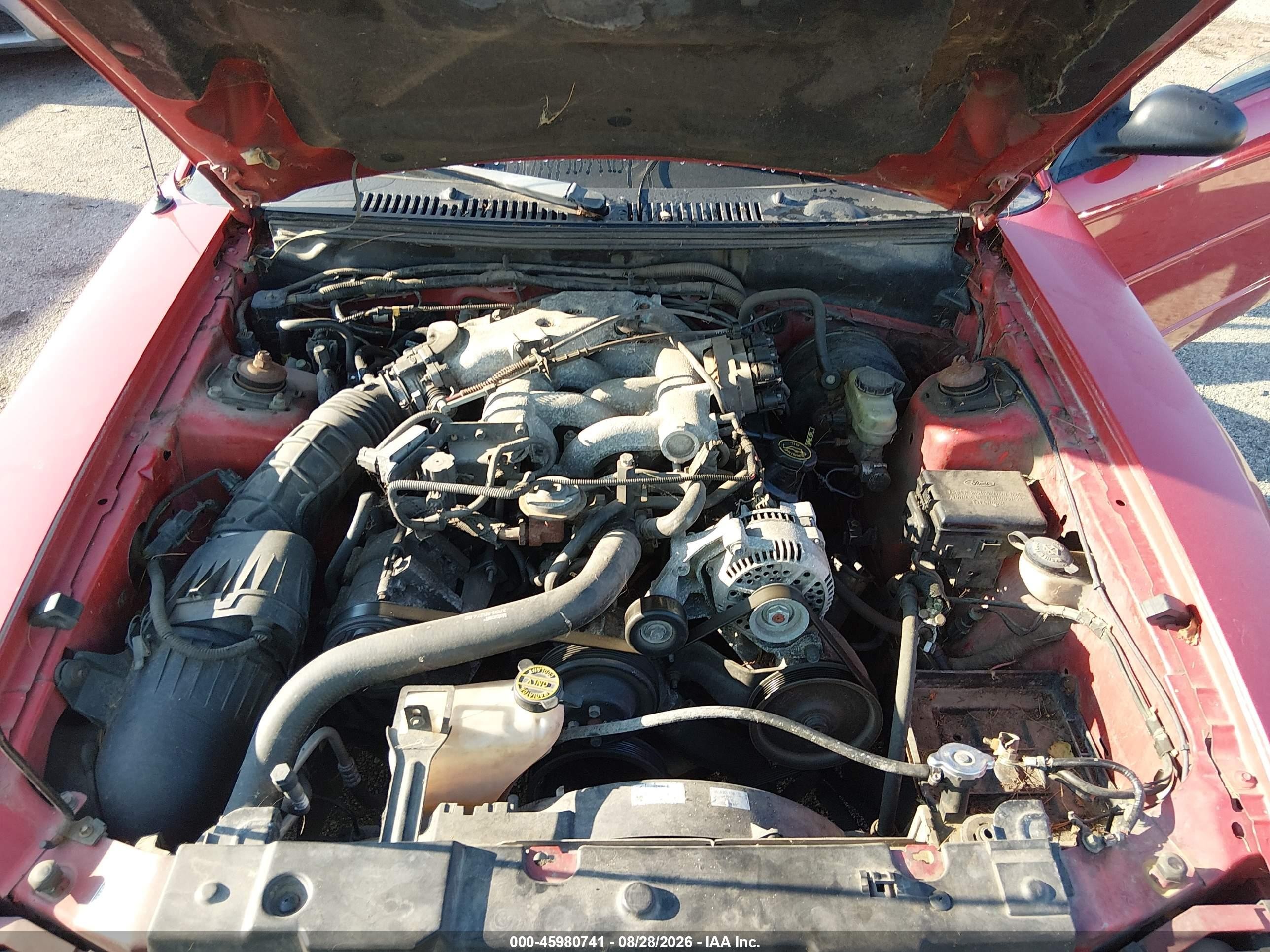 1999 Ford Mustang   Red vin: 1FAFP4441XF186459