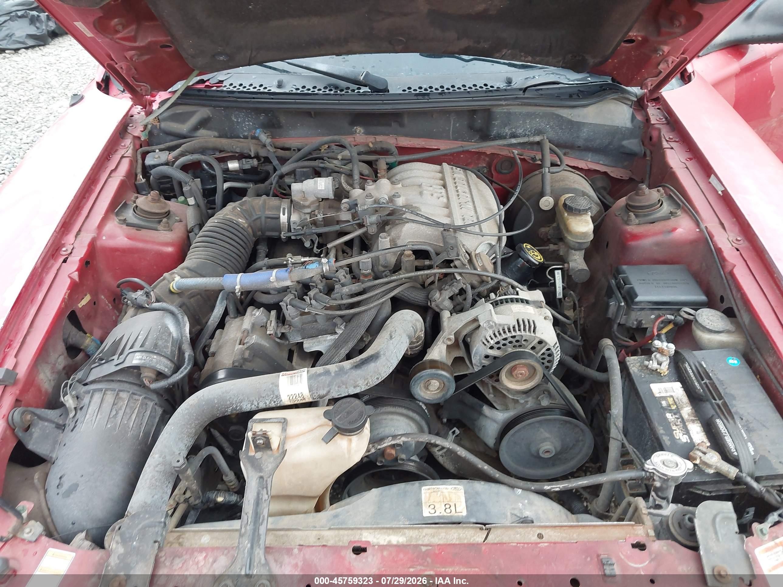 1998 Ford Mustang   Red vin: 1FAFP4442WF271776