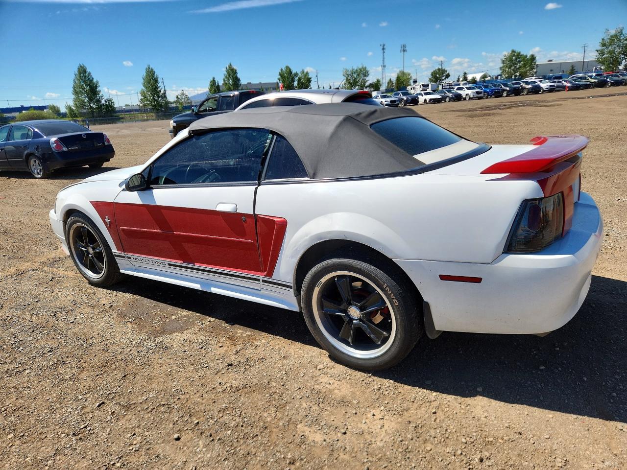 2001 Ford Mustang White vin: 1FAFP44431F124164