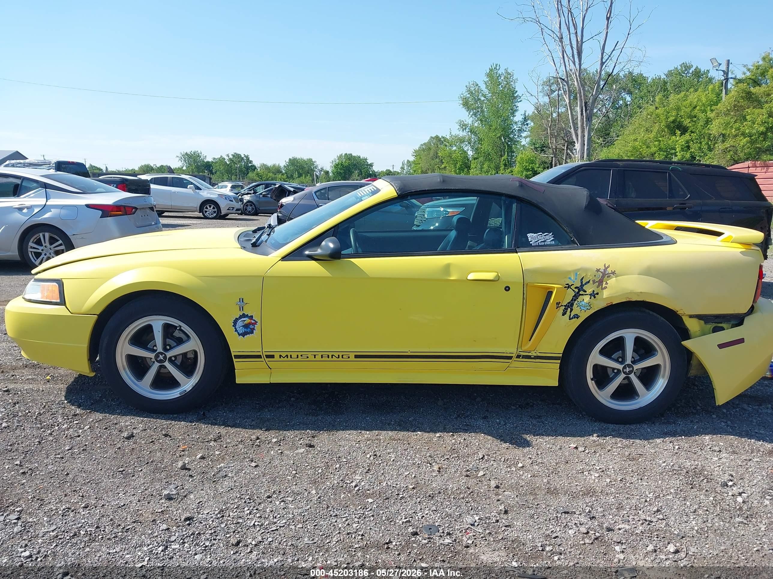 2001 Ford Mustang   Yellow vin: 1FAFP44431F199169