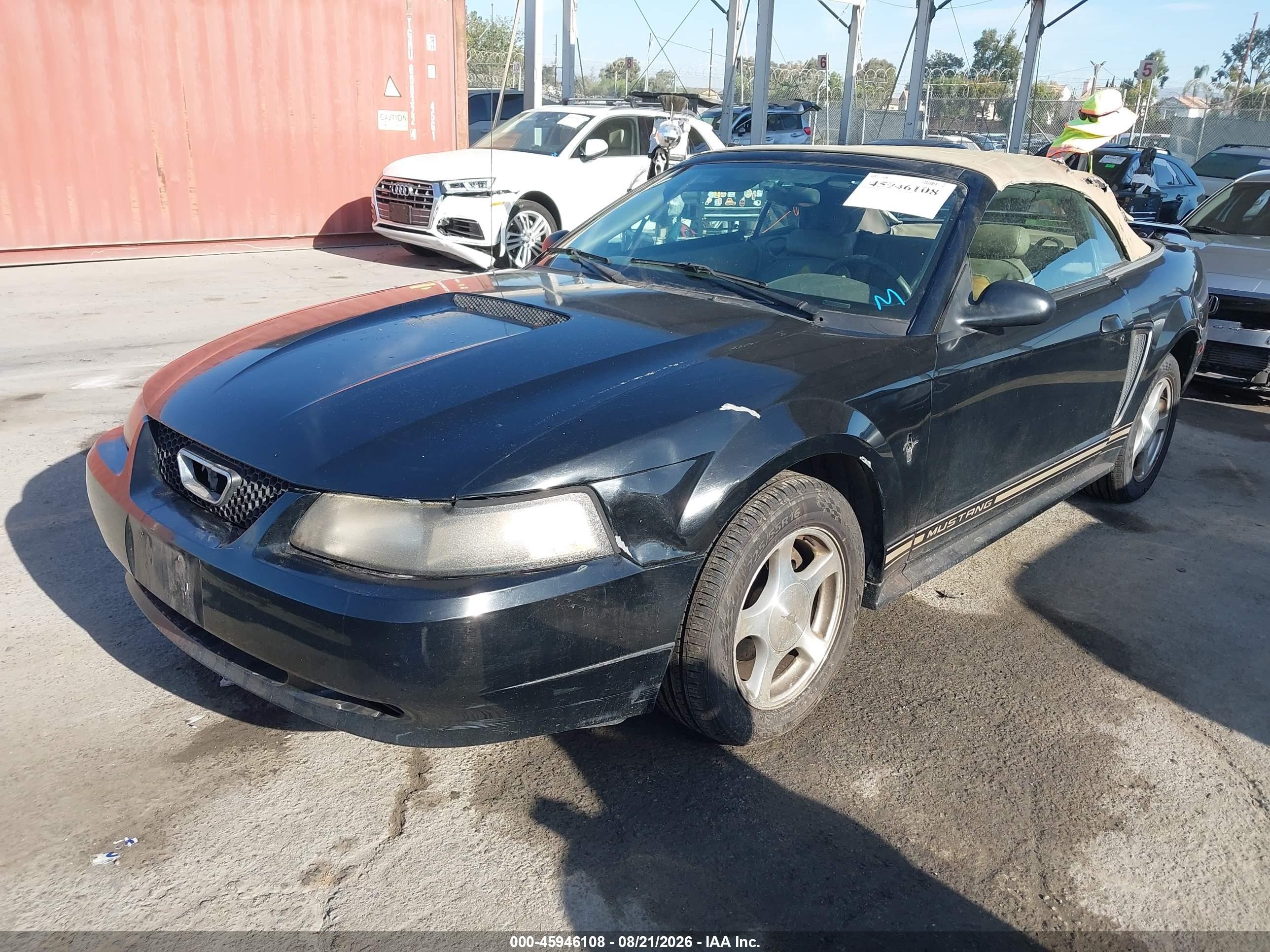2001 Ford Mustang   Black vin: 1FAFP44431F216097