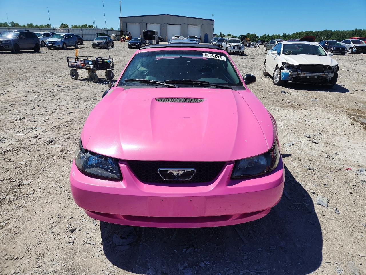 2001 Ford Mustang Pink vin: 1FAFP44431F228279