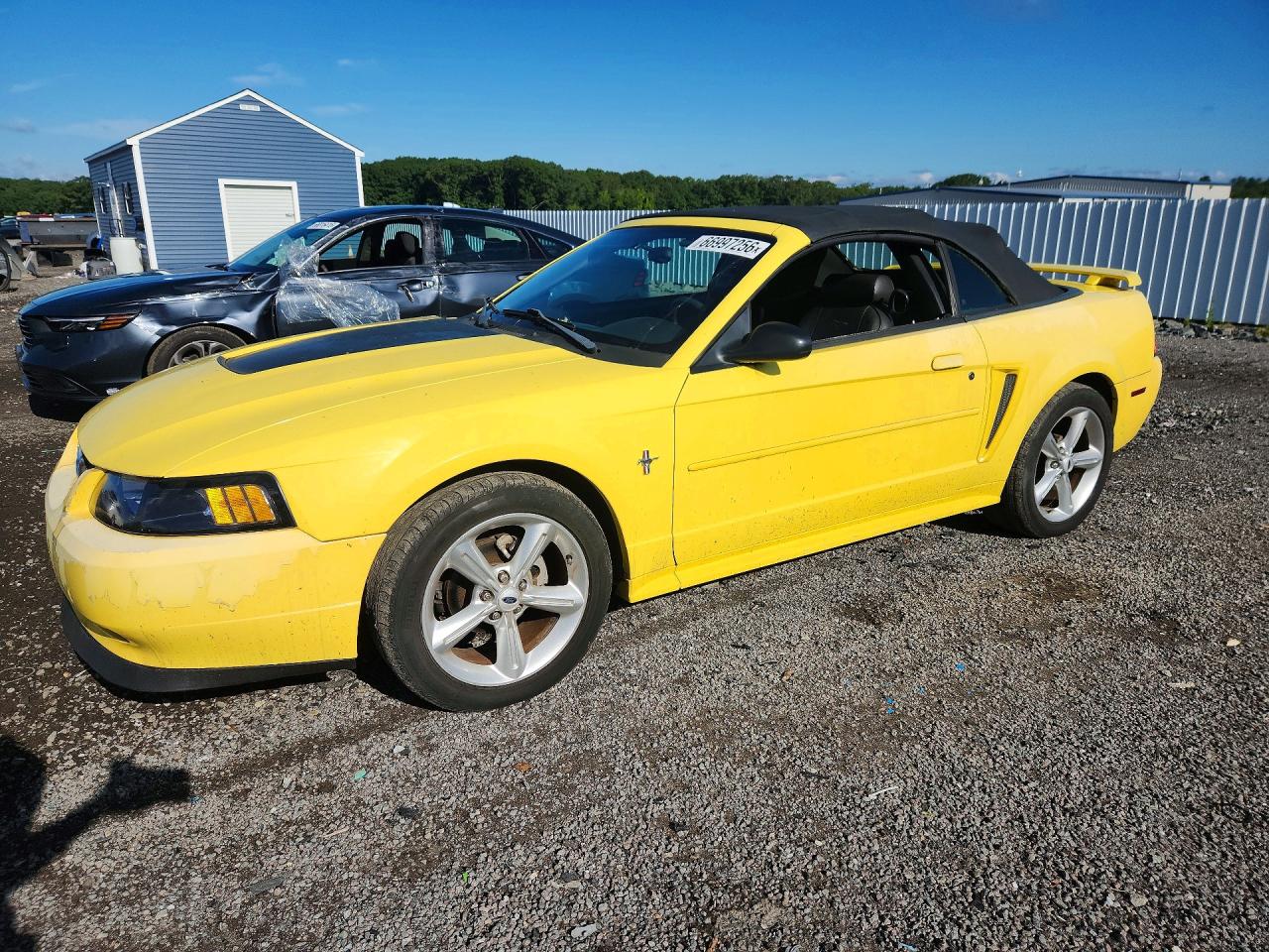 2003 Ford Mustang Желтый vin: 1FAFP44433F330121