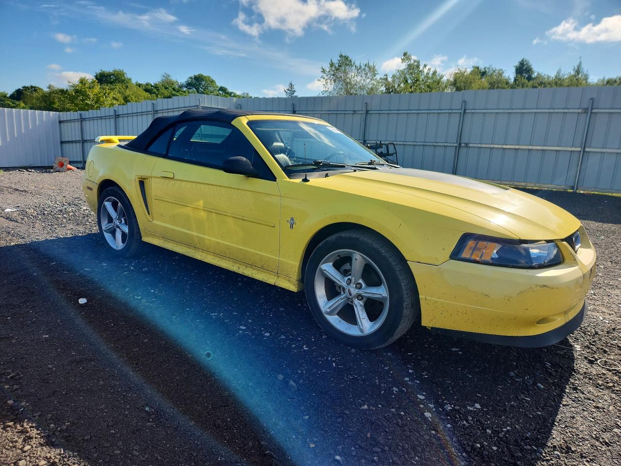 2003 Ford Mustang Yellow vin: 1FAFP44433F330121
