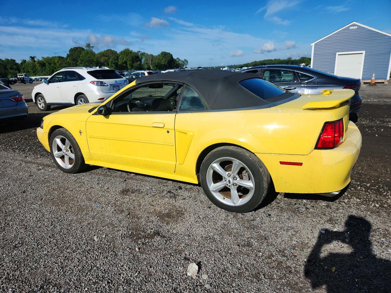 2003 Ford Mustang Yellow vin: 1FAFP44433F330121