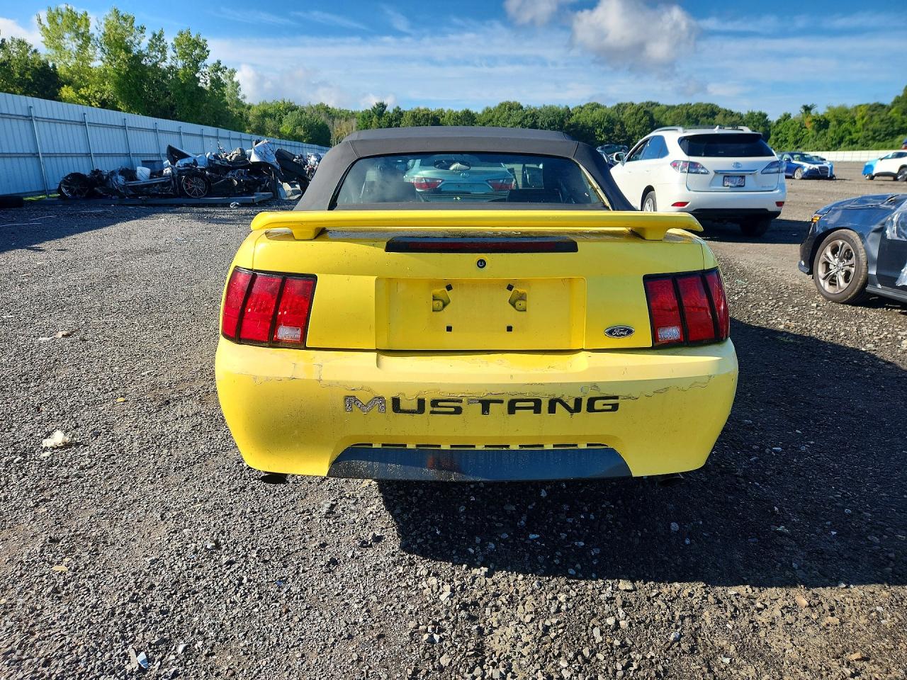 2003 Ford Mustang Yellow vin: 1FAFP44433F330121