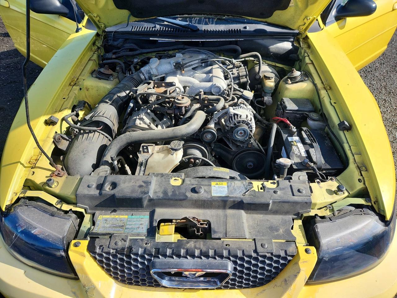 2003 Ford Mustang Yellow vin: 1FAFP44433F330121