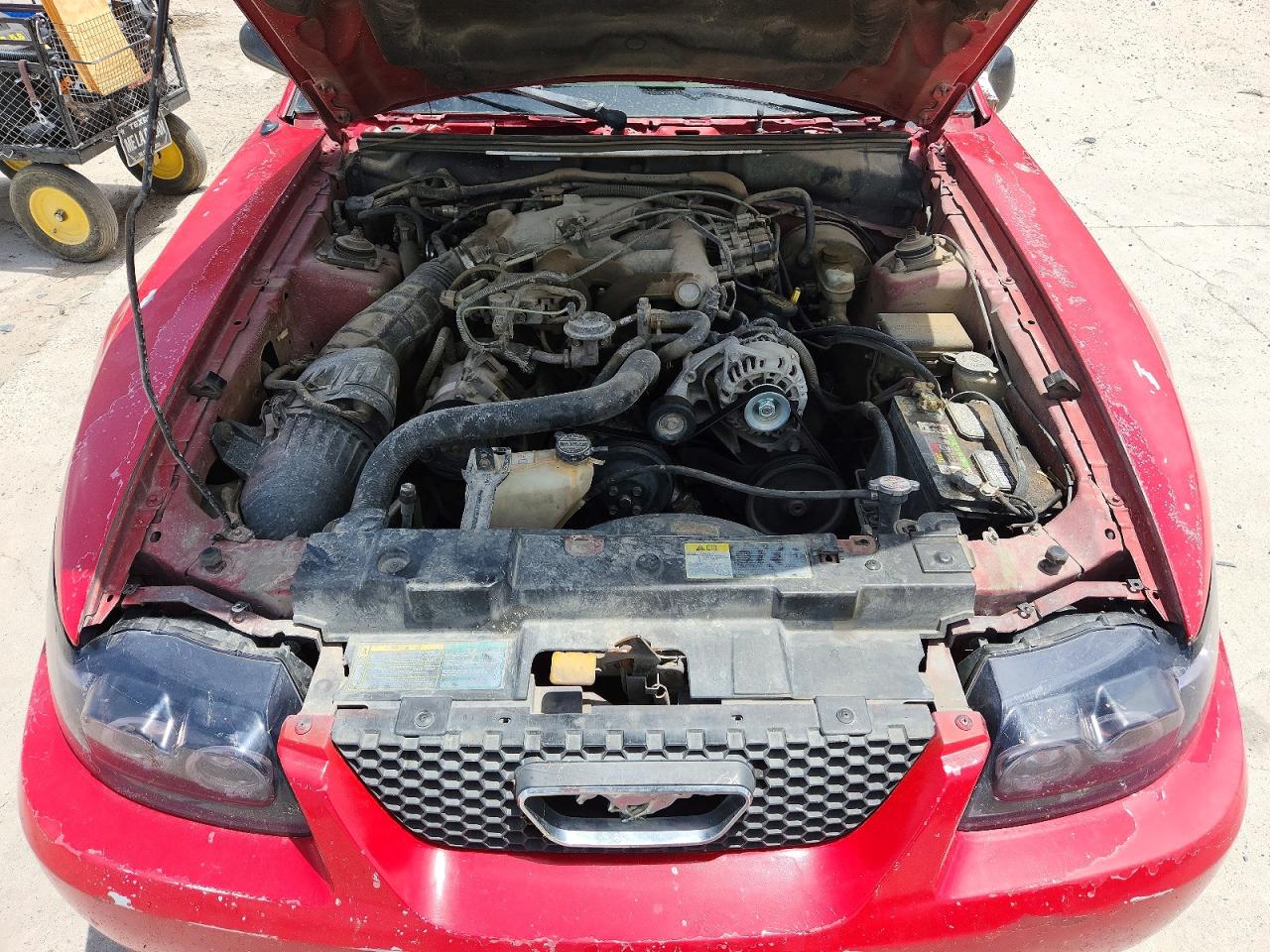 2003 Ford Mustang Red vin: 1FAFP44433F414648