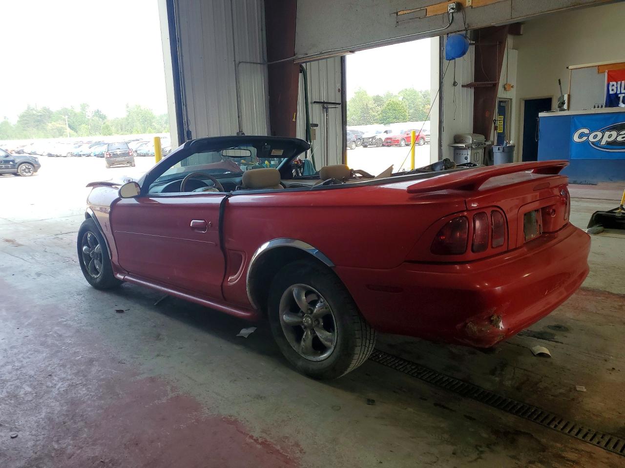 1998 Ford Mustang Red vin: 1FAFP4443WF227169