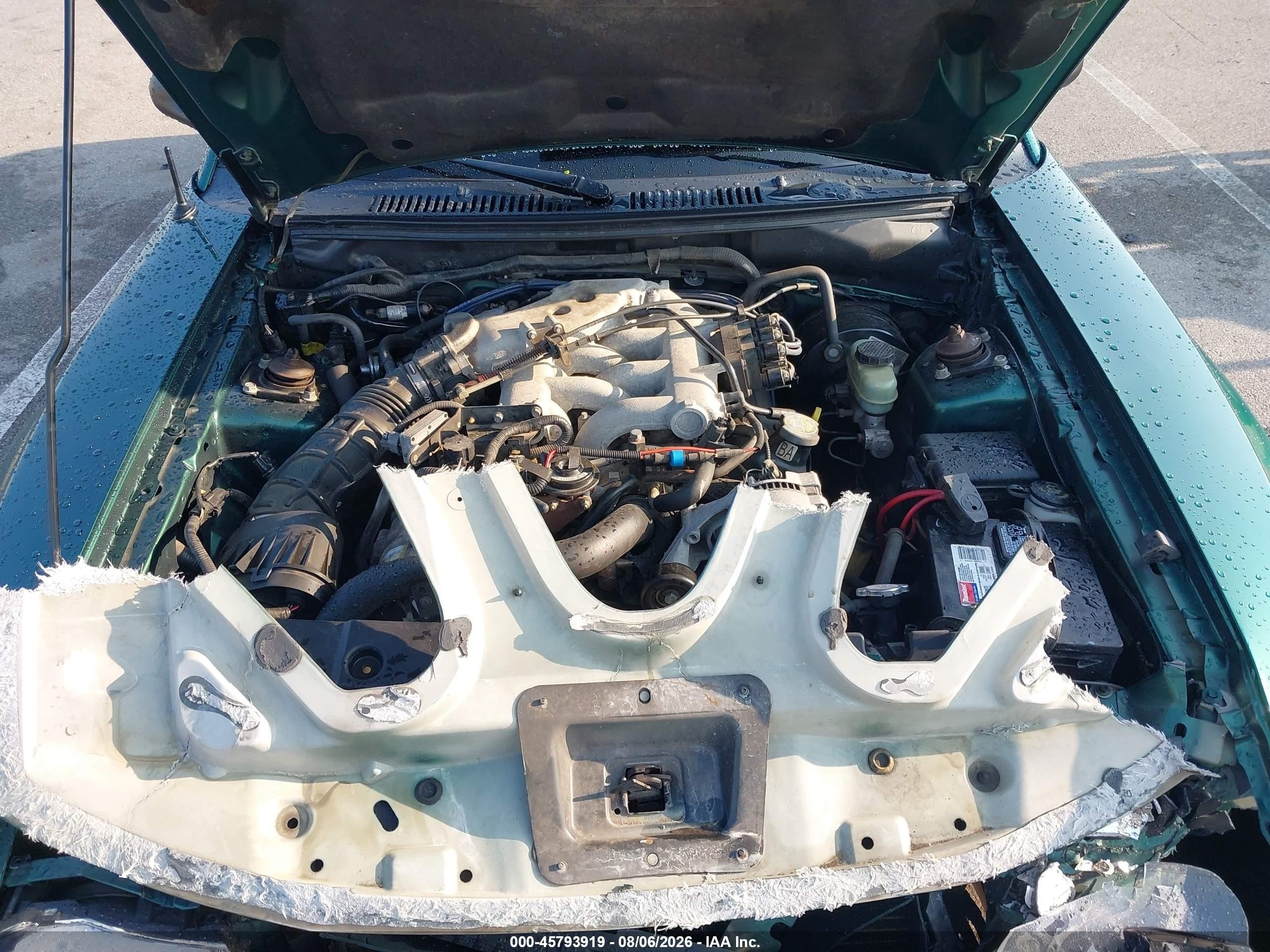 2000 Ford Mustang   Зеленый vin: 1FAFP4443YF283700