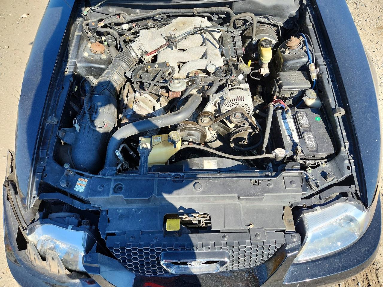 2000 Ford Mustang Черный vin: 1FAFP4443YF289691